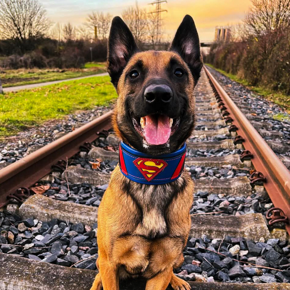 Superdog Genuine Leather Collar